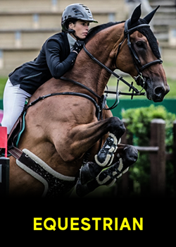 Equestrian